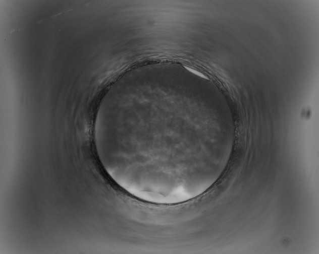 X0000099930039200806201107