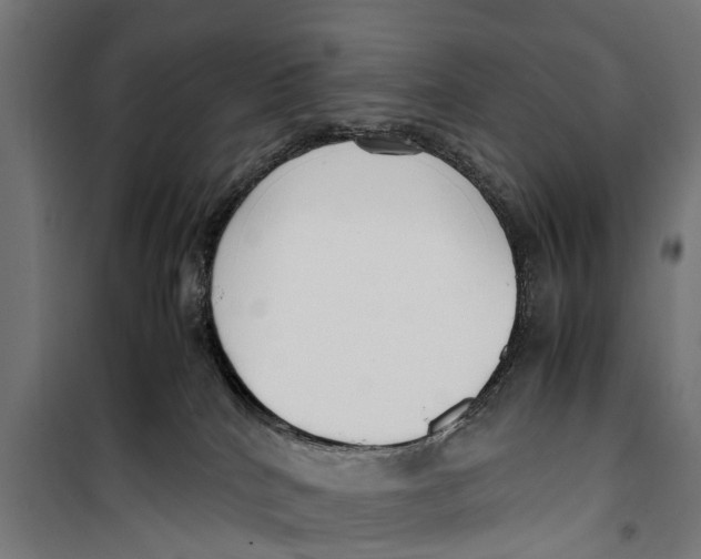 X0000099930040200806201107