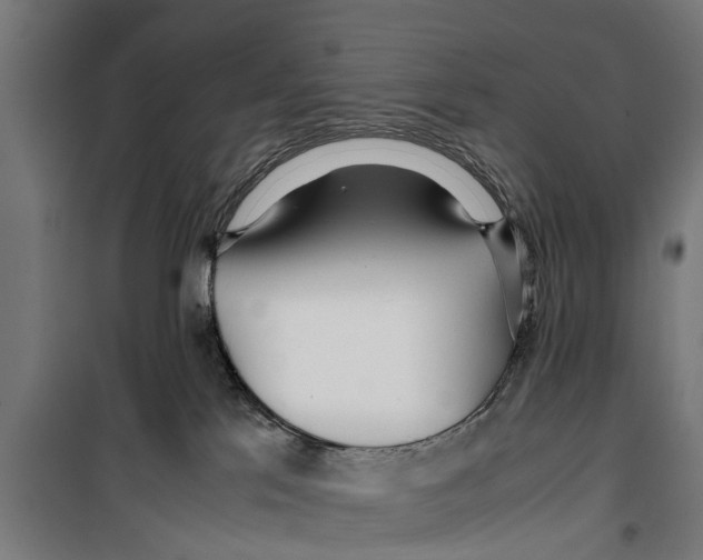 X0000099930041200806201107