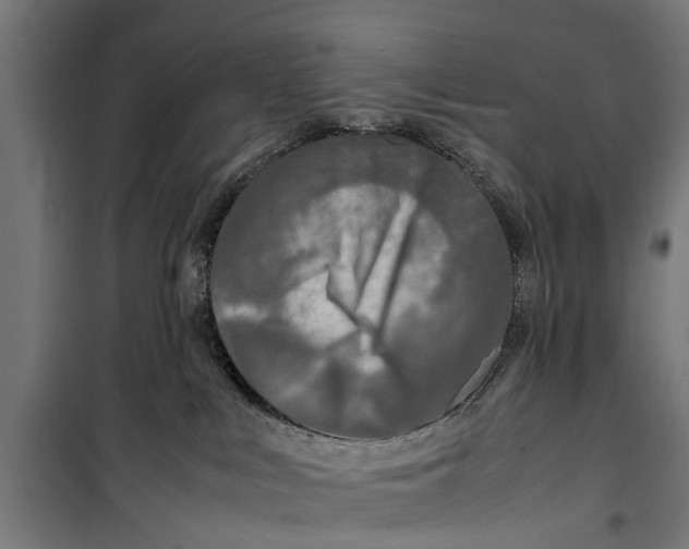 X0000099930043200806201107