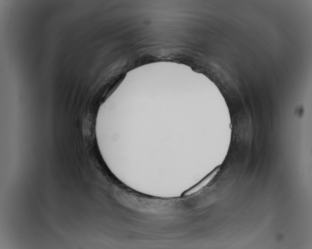 X0000099930044200806201107