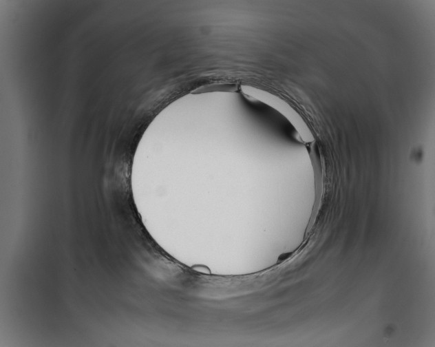 X0000099930045200806201107