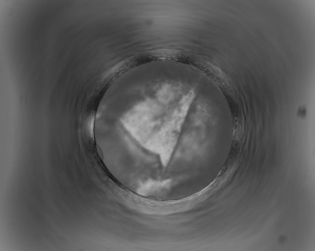 X0000099930047200806201107