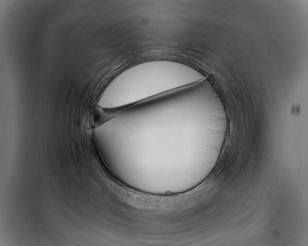 X0000099930048200806201107