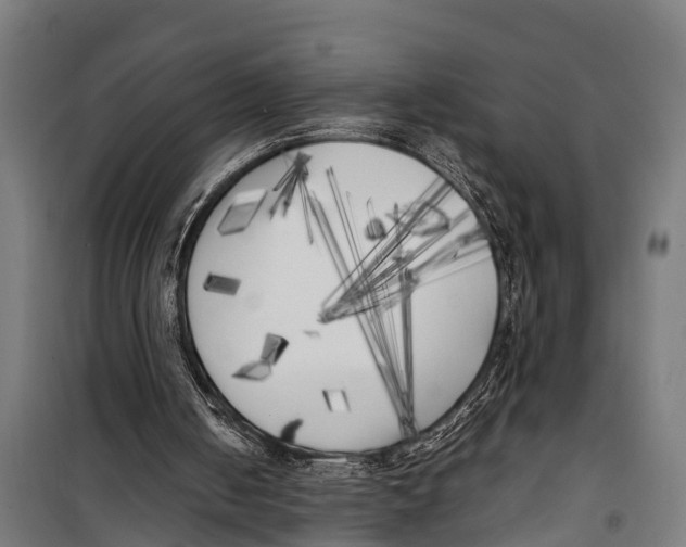 X0000099930050200806201106