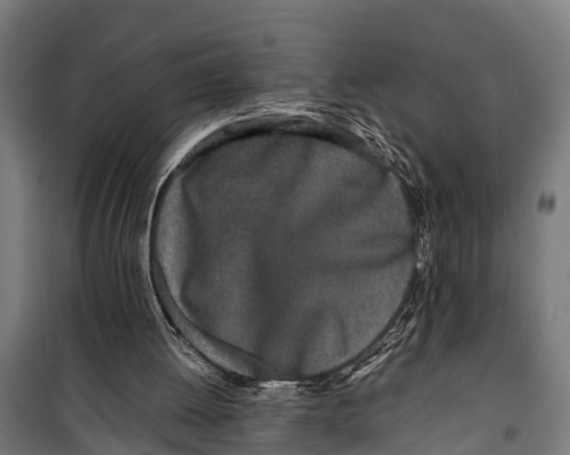 X0000099930052200806201106