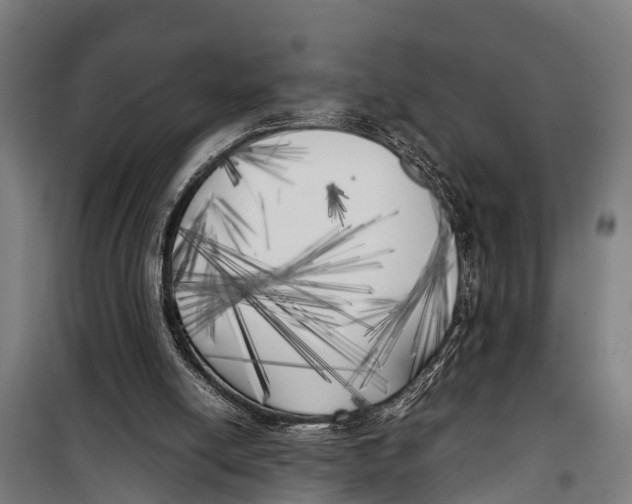 X0000099930054200806201106