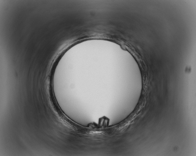 X0000099930055200806201106