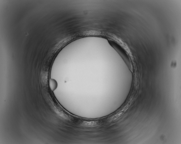 X0000099930057200806201106