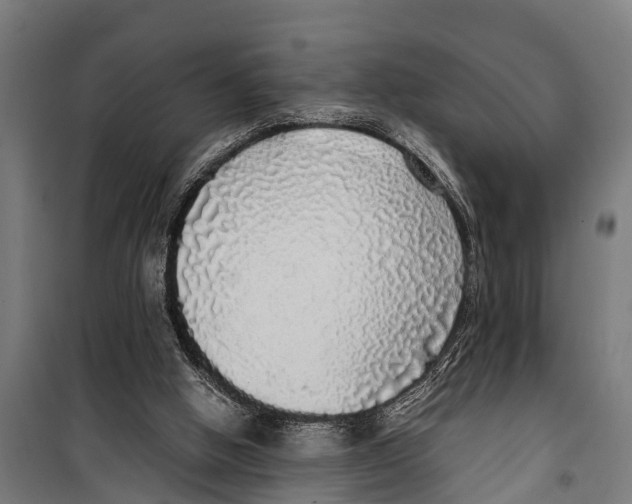 X0000099930058200806201106