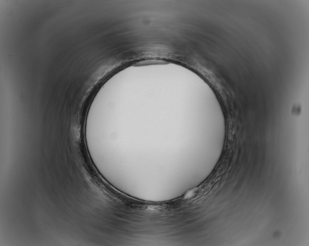 X0000099930060200806201106