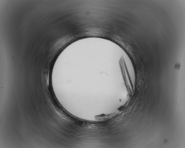 X0000099930062200806201106