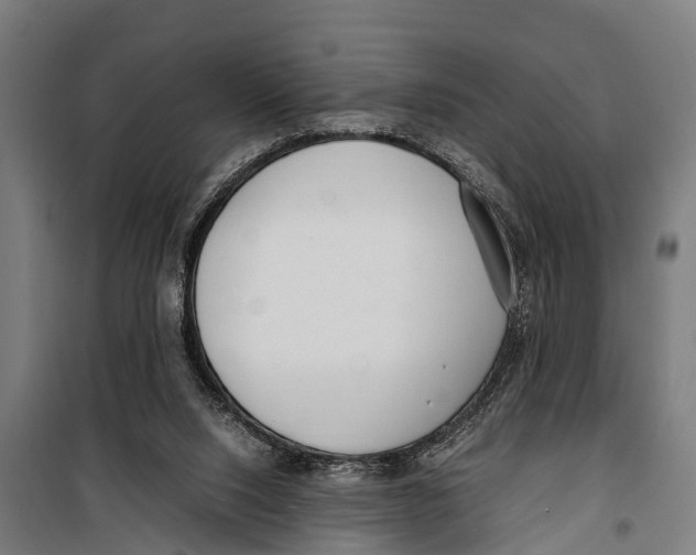 X0000099930064200806201106