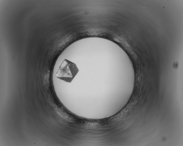 X0000099930066200806201106