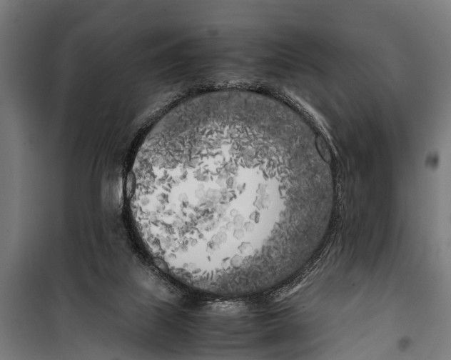 X0000099930067200806201106