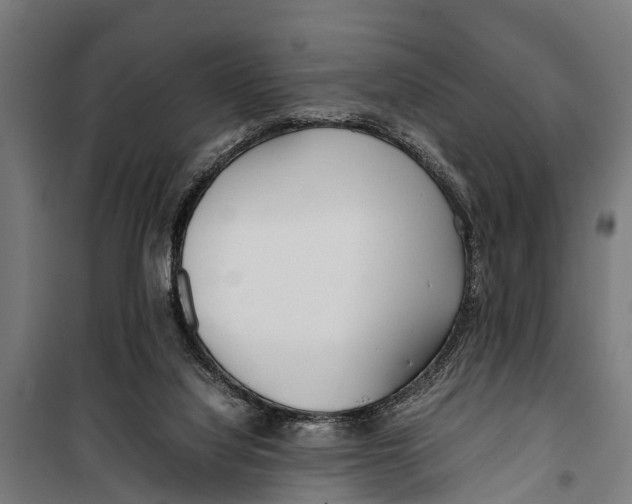 X0000099930068200806201106