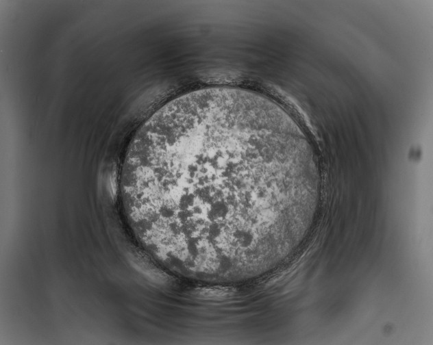 X0000099930069200806201106