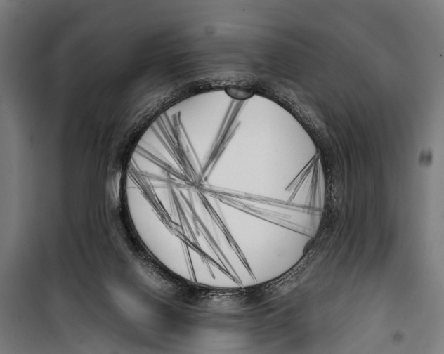 X0000099930070200806201106