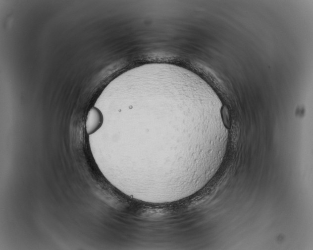 X0000099930071200806201106