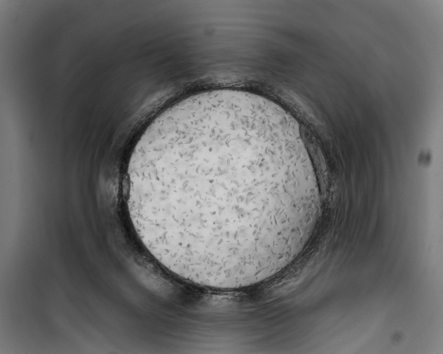 X0000099930072200806201106