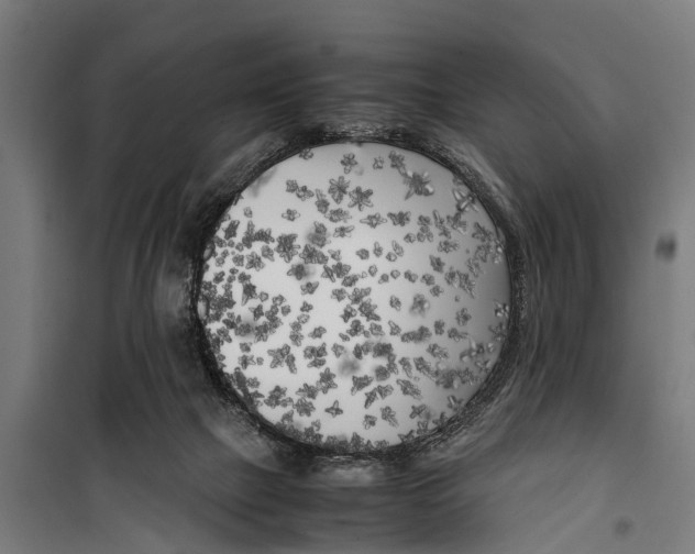 X0000099930073200806201106