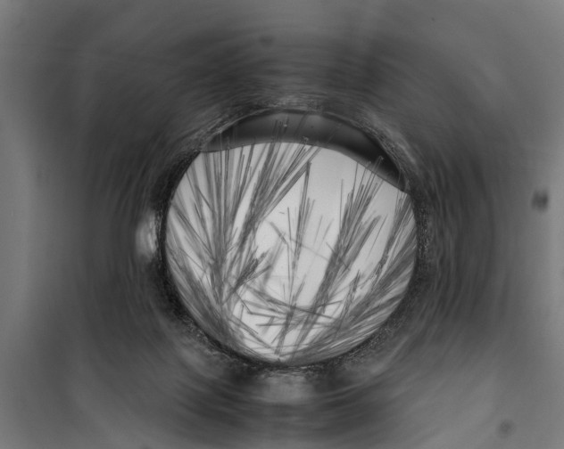 X0000099930075200806201107