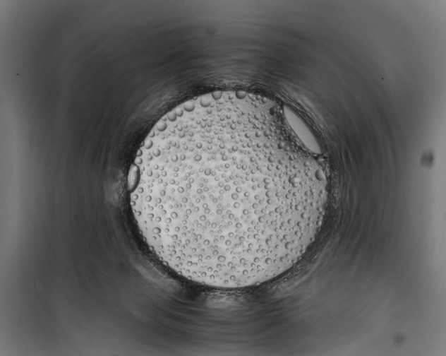 X0000099930077200806201107