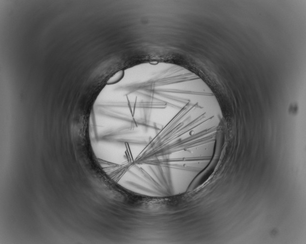 X0000099930078200806201107