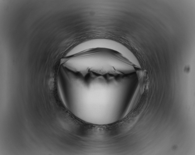 X0000099930080200806201107