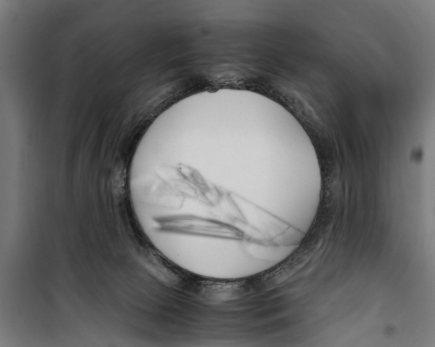 X0000099930081200806201107