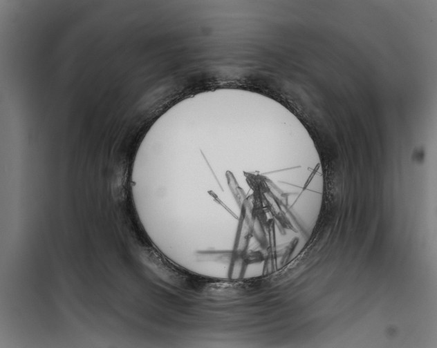 X0000099930082200806201107