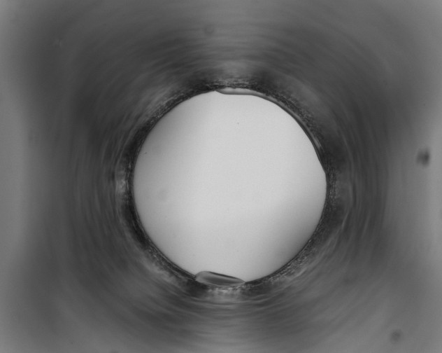 X0000099930084200806201107