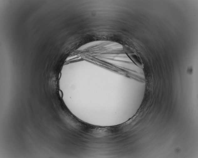 X0000099930086200806201107