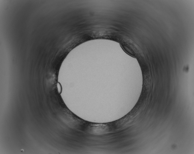 X0000099930087200806201107