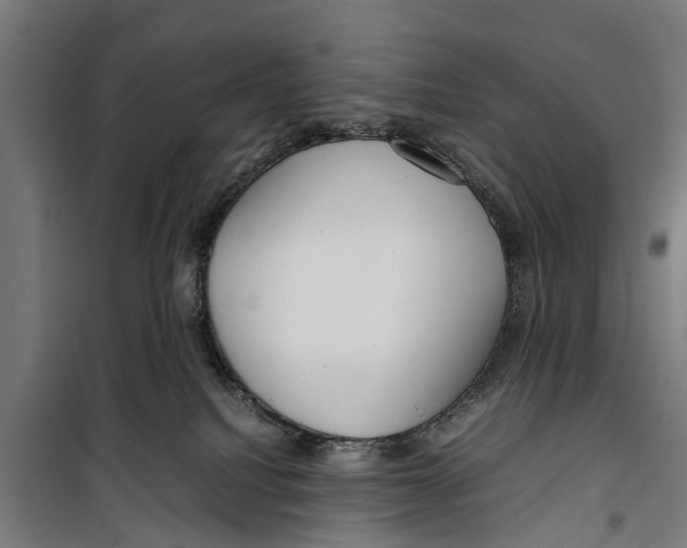 X0000099930088200806201107