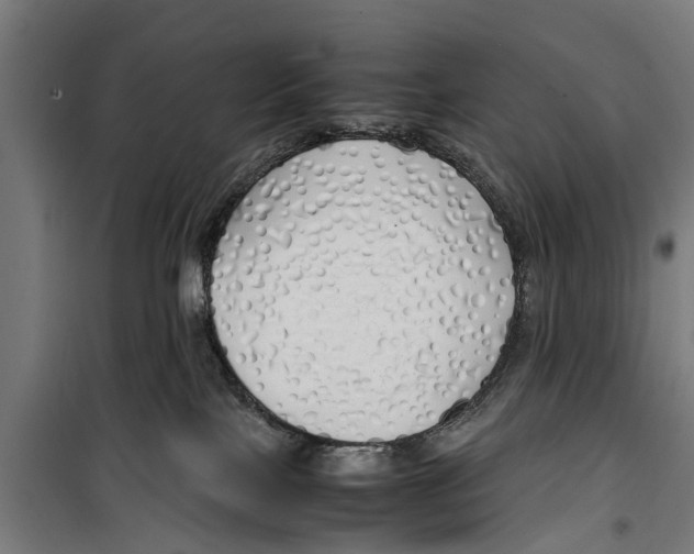 X0000099930089200806201107