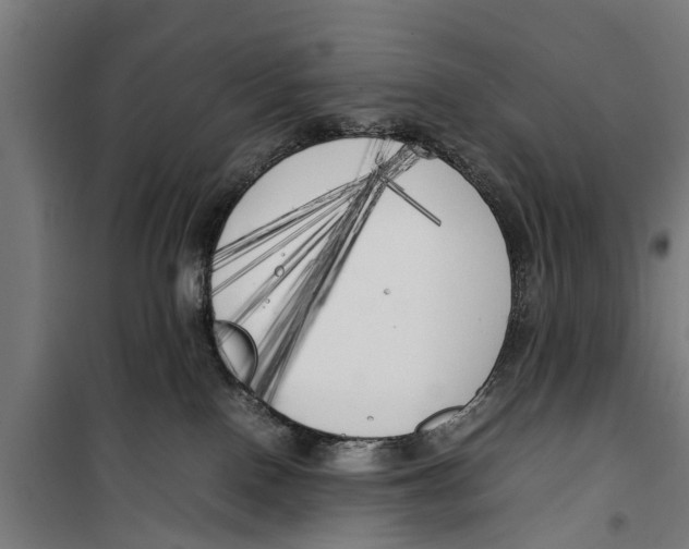 X0000099930090200806201107