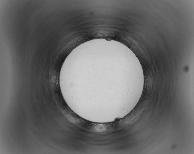 X0000099930091200806201107