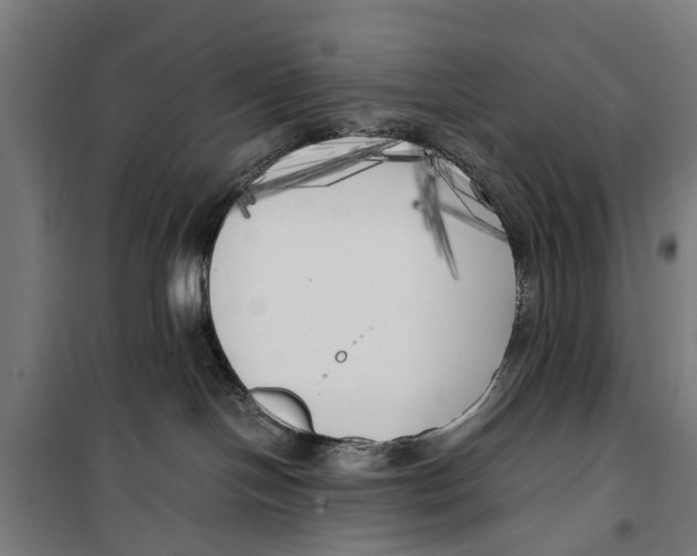 X0000099930094200806201107