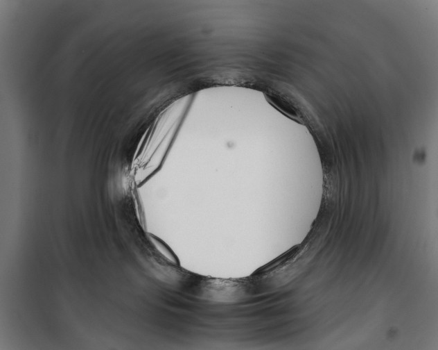 X0000099930095200806201107