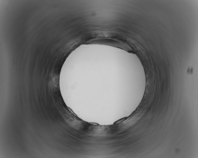 X0000099930096200806201107