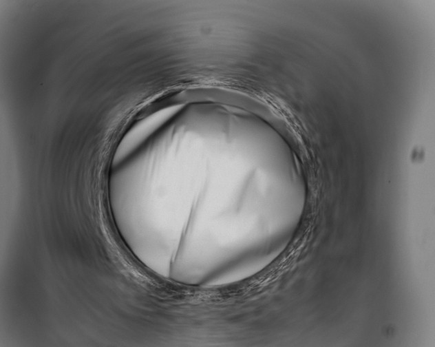 X0000099930097200806201106