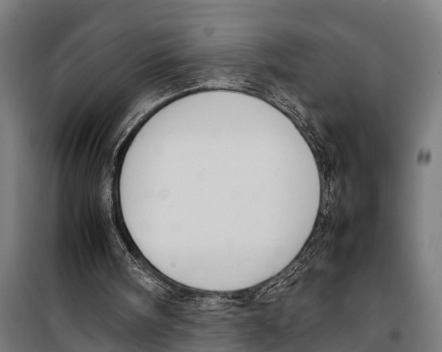 X0000099930098200806201106