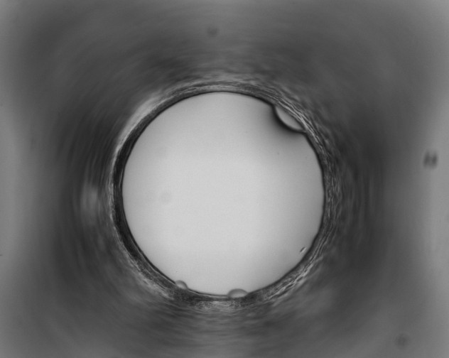 X0000099930102200806201106