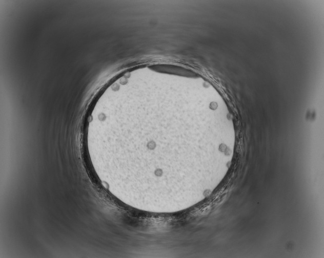 X0000099930103200806201106