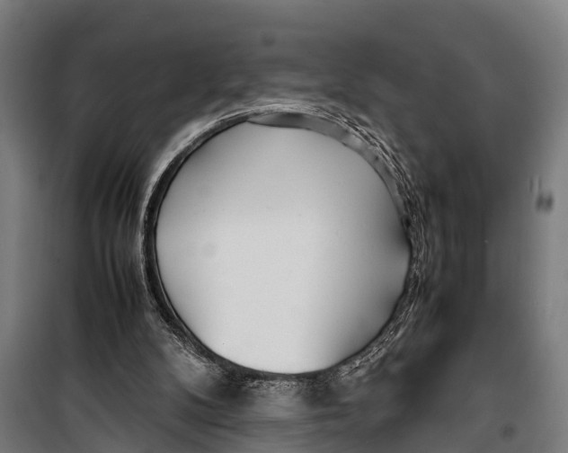 X0000099930104200806201106