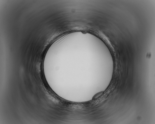 X0000099930106200806201106