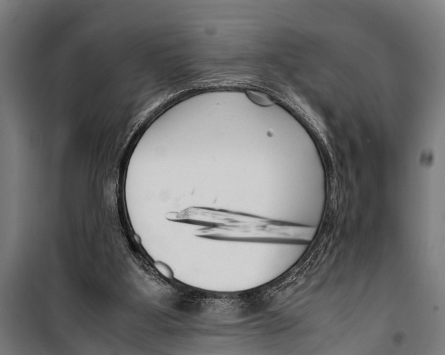 X0000099930107200806201106