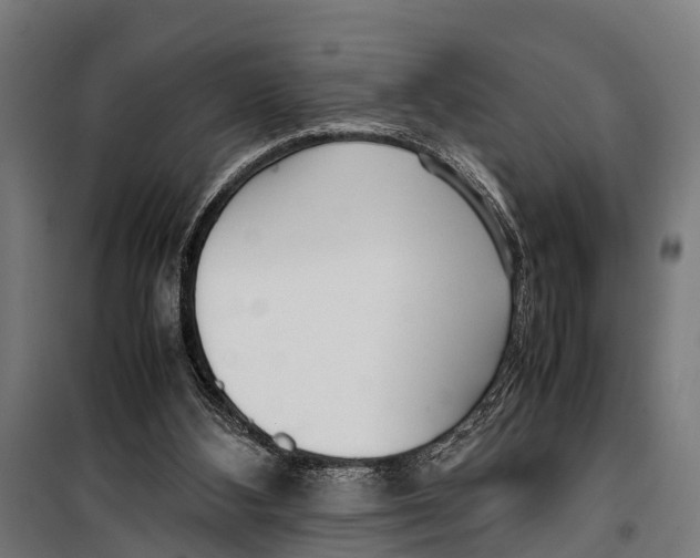 X0000099930108200806201106