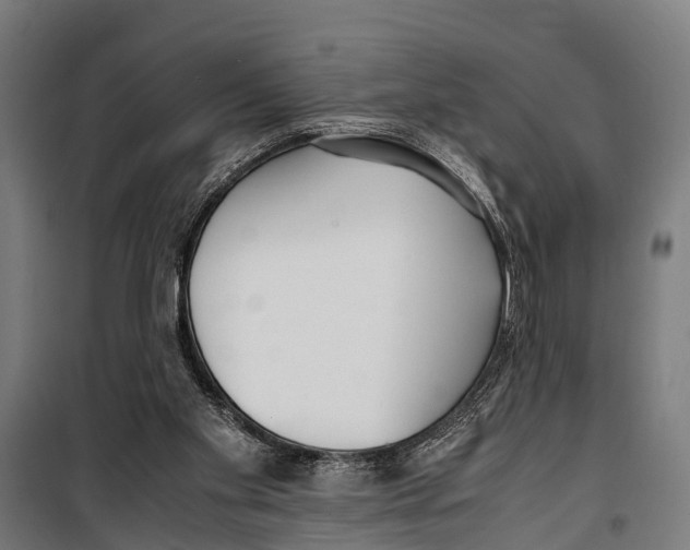 X0000099930109200806201106